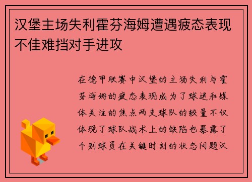 汉堡主场失利霍芬海姆遭遇疲态表现不佳难挡对手进攻